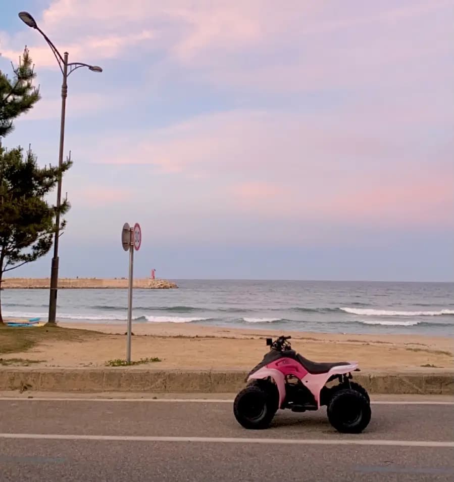펜션 앞에 항상 주차되어있는 귀여운 분홍색 오토바이